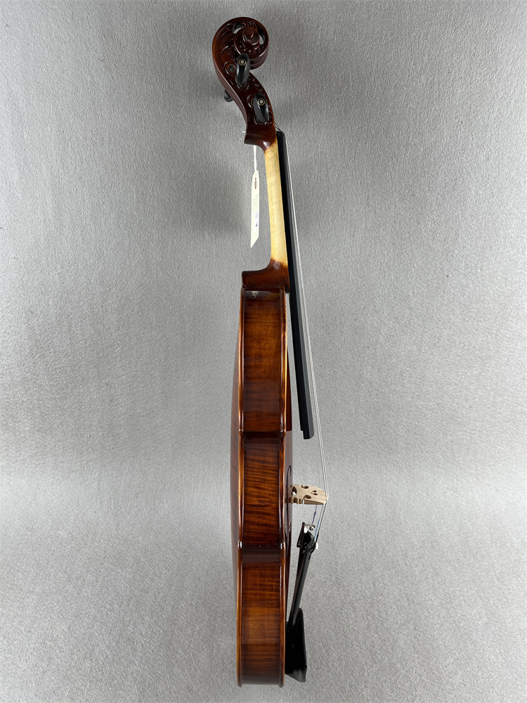 ACTUAL PHOTO Special Shell Inl - Musical Instrument Photo 评论和价格